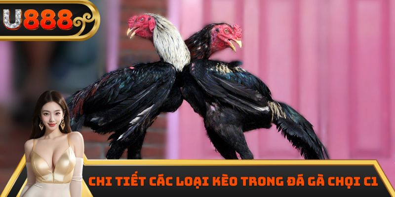 Chi tiết các loại kèo trong đá gà chọi C1